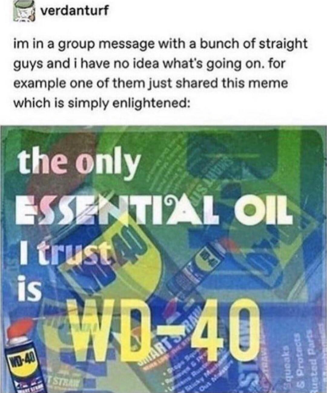 verdanturf im in a group message with a bunch of straight guys and i have no idea whats going on for example one of them just shared this meme which is simply enlightened