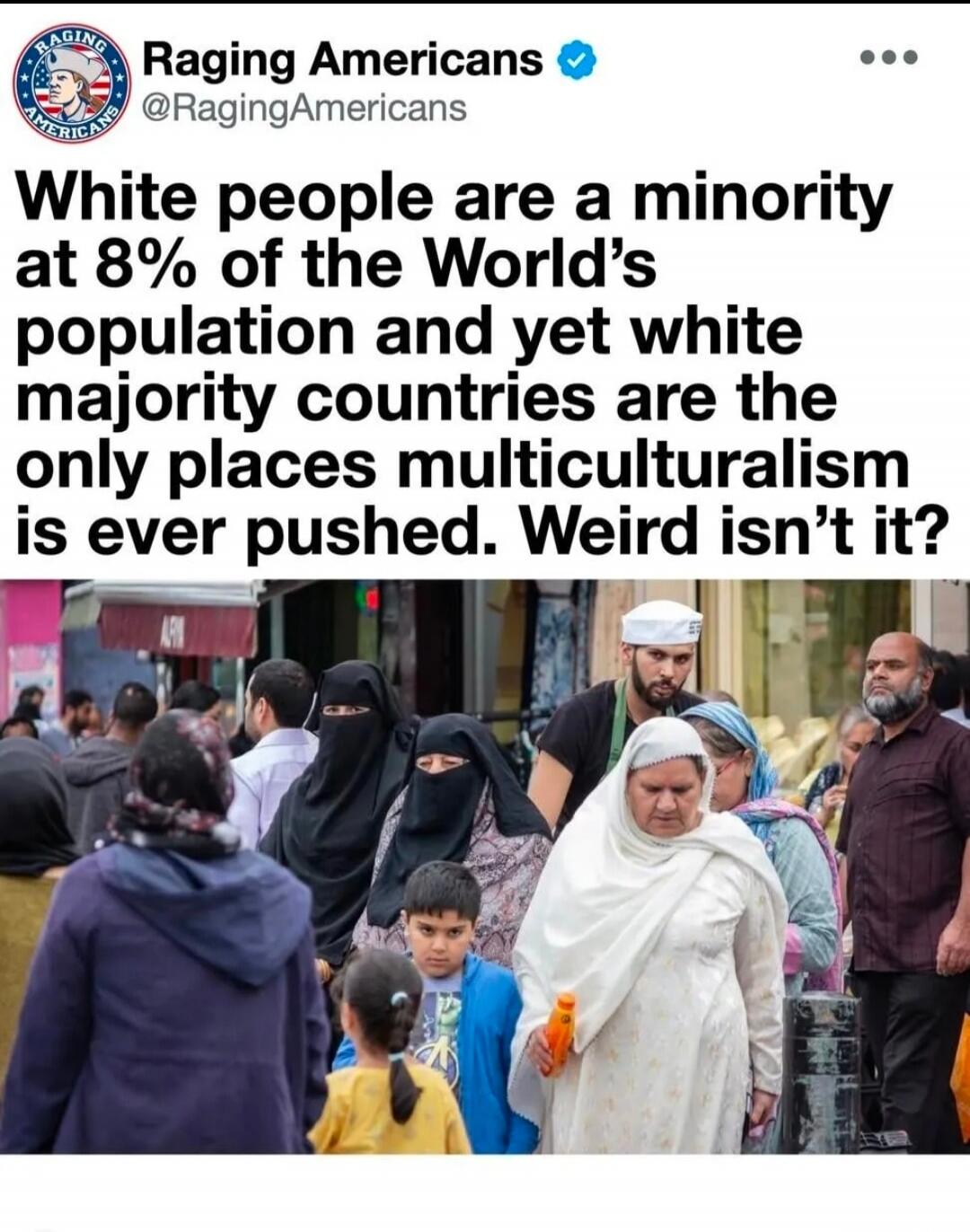 Raging Americans @RagingAmericans White people are a minority at 8% of the World's population and yet white majority countries are the only places multiculturalism is ever pushed. Weird isn't it?