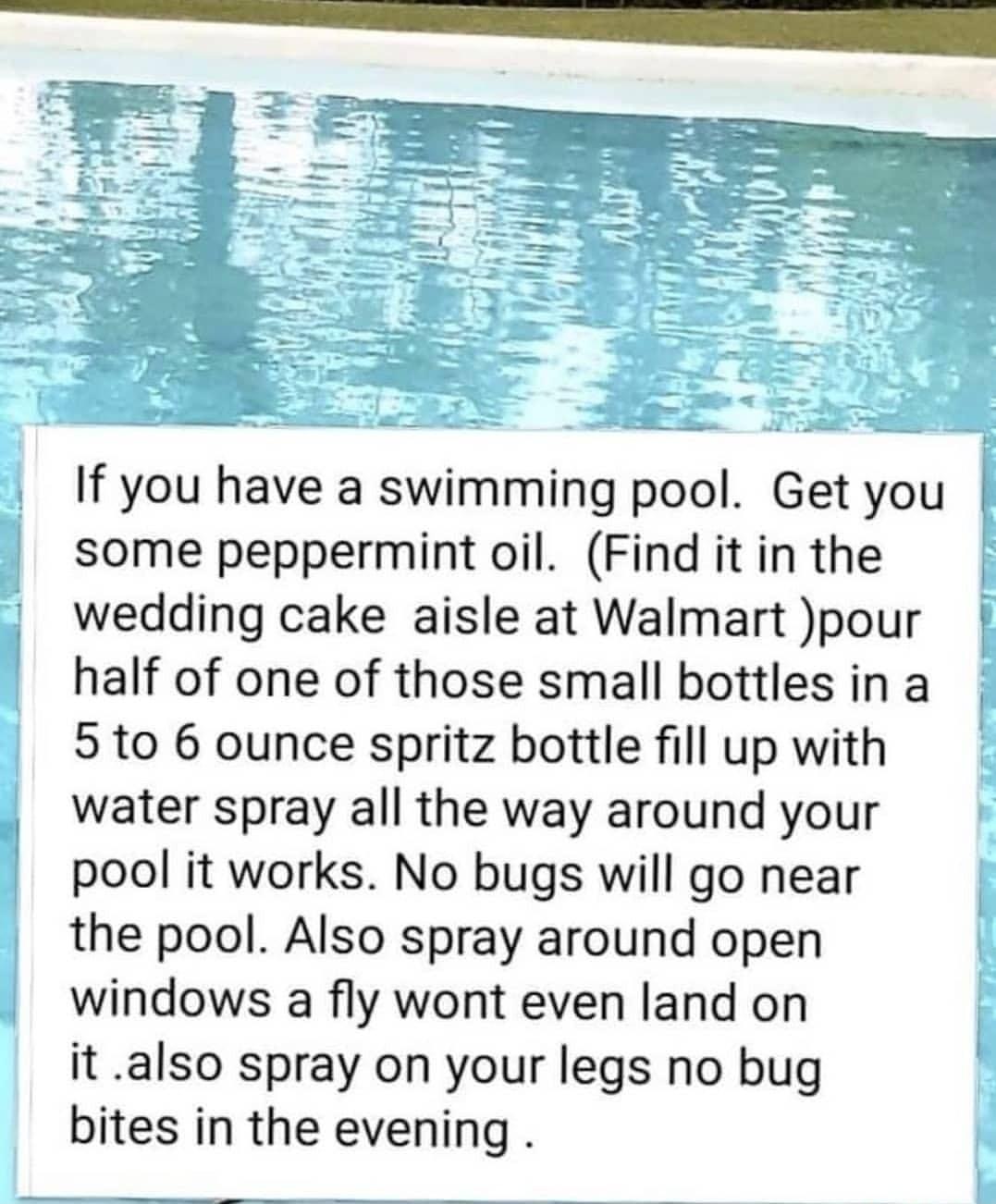 S S If you have a swimming pool Get you some peppermint oil Find it in the wedding cake aisle at Walmart pour T half of one of those small bottlesina 5 to 6 ounce spritz bottle fill up with Wwater spray all the way around your f pool it works No bugs will go near the pool Also spray around open windows a fly wont even land on it also spray on your legs no bug bites in the evening