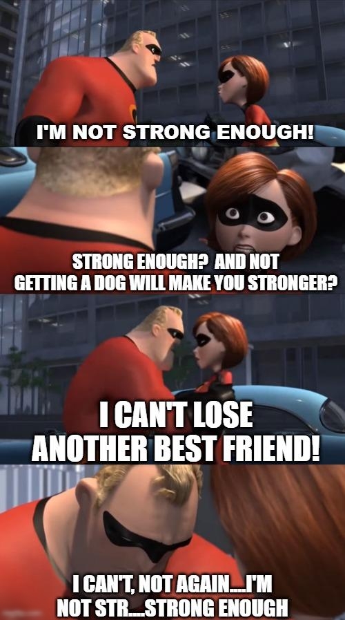 l M NOT STRONG ENOUGHN Ny 2 o STRONG ENOUGH2 lllll NOT GETTING A DOG WILL MAKE YOU STRONGER f_ ICANTIOSE ANOTHER BEST FRIEND r w IGANT NOTAGAIN_IM NOT STR_STRONG ENOUGH