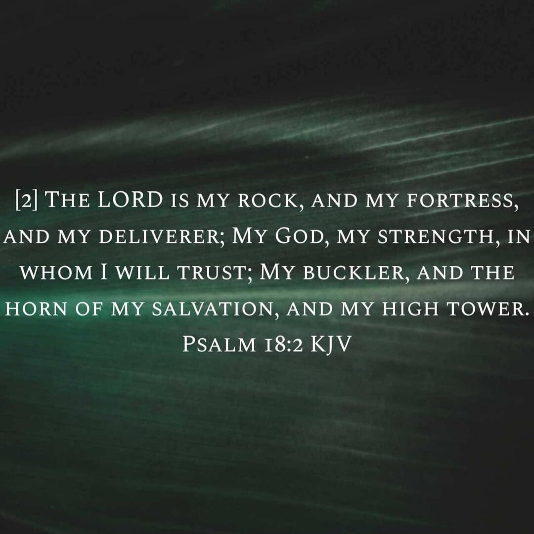 [2] The LORD is my rock, and my fortress, and my deliverer; My God, my strength, in whom I will trust; My buckler, and the horn of my salvation, and my high tower. Psalm 18:2 KJV