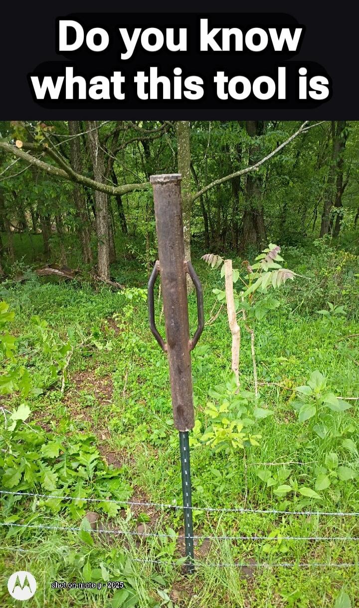 Do you know what this tool is. shot on moto g - 2025.