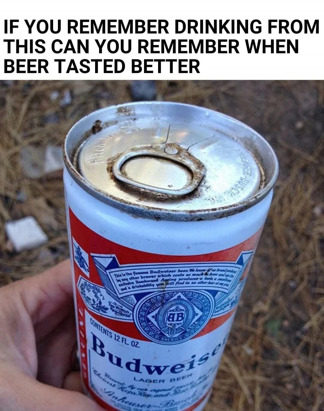 IF YOU REMEMBER DRINKING FROM THIS CAN YOU REMEMBER WHEN BEER TASTED BETTER. Budweiser LAGER BEER CONTENTS 12 FL. OZ.