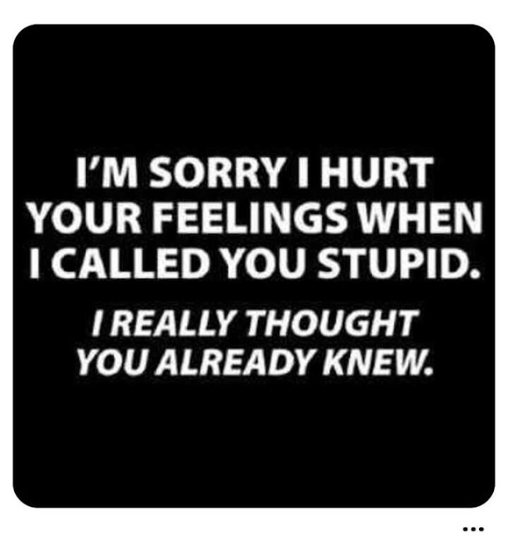 IM SORRY HURT YOUR FEELINGS WHEN 1 CALLED YOU STUPID I REALLY THOUGHT YOU ALREADY KNEW