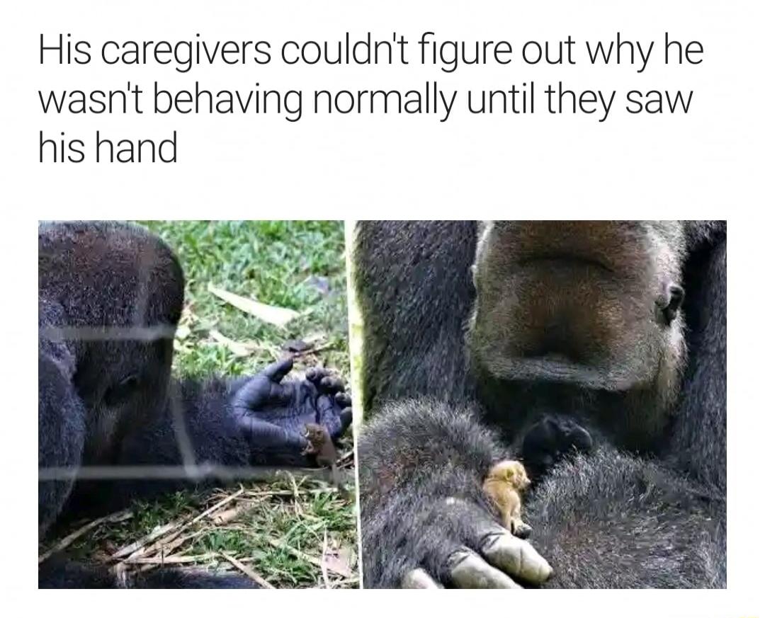 His caregivers couldn figure out why he wasnt behaving normally until they saw his hand