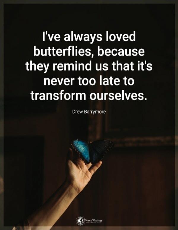 I've always loved butterflies, because they remind us that it's never too late to transform ourselves. Drew Barrymore