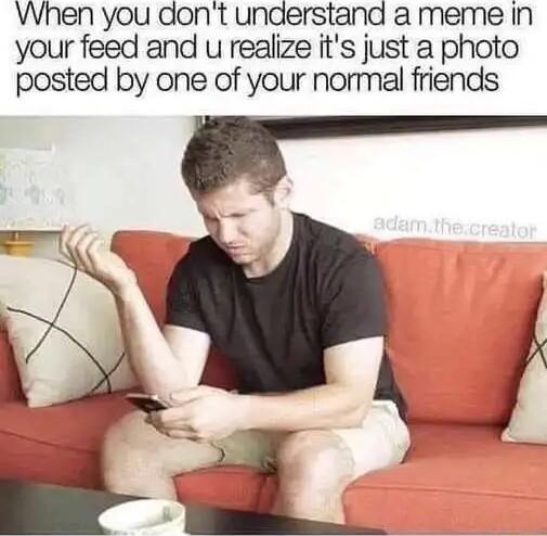 When you dont understand a meme in your feed and u realize its just a photo posted by one of your normal friends