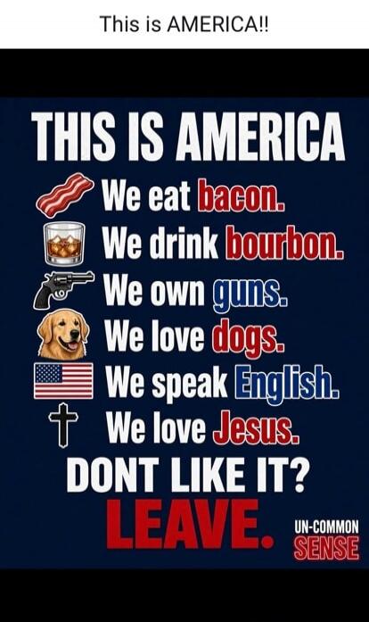 This is AMERICA!! THIS IS AMERICA We eat bacon. We drink bourbon. We own guns. We love dogs. We speak English. We love Jesus. DONT LIKE IT? LEAVE. UN-COMMON SENSE