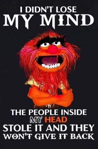 I DIDN'T LOSE MY MIND THE PEOPLE INSIDE MY HEAD STOLE IT AND THEY WON'T GIVE IT BACK