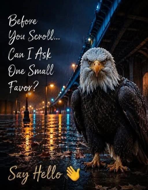 Before You Scroll... Can I Ask One Small Favor? Say Hello 👋