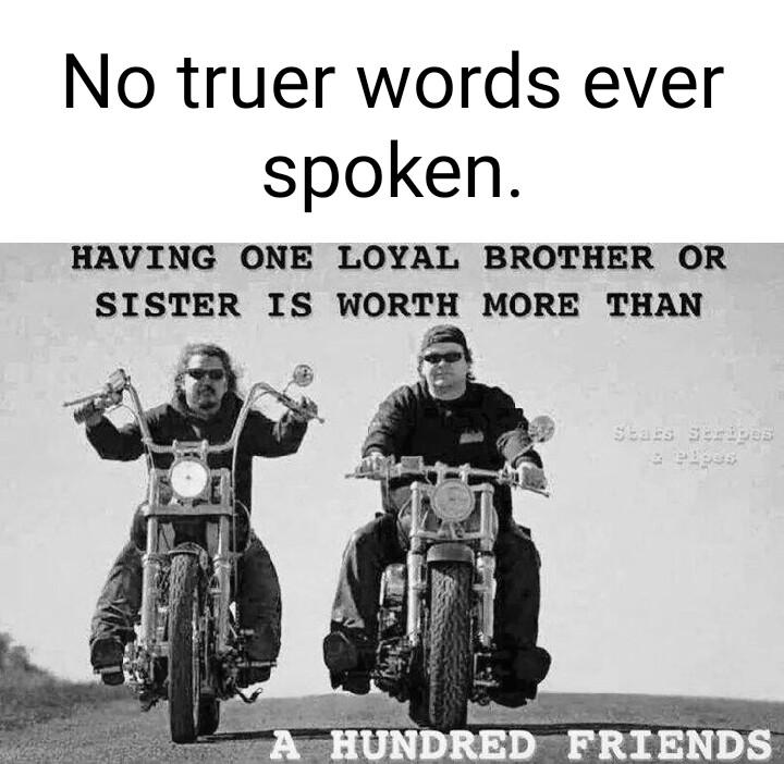No truer words ever spoken HAVING ONE LOYAL BROTHER OR SISTER IS WORTH MORE THAN FRIENDS