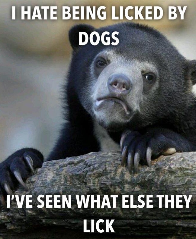 EN WHAT ELSETH g LICK Ll