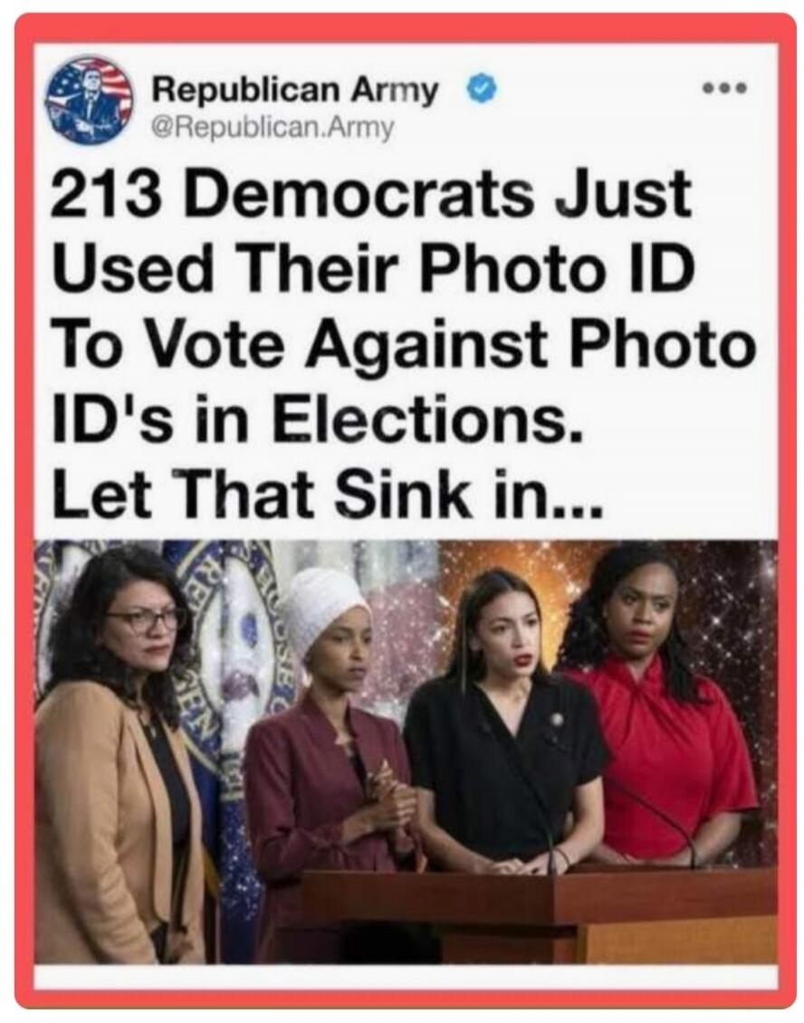 Republican Army @Republican.Army 213 Democrats Just Used Their Photo ID To Vote Against Photo ID's in Elections. Let That Sink in...