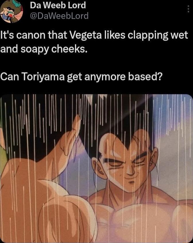 DaWeeb Lord l DaWeebLord Its canon that Vegeta likes clapping wet and soapy cheeks Can Toriyama get anymore based i