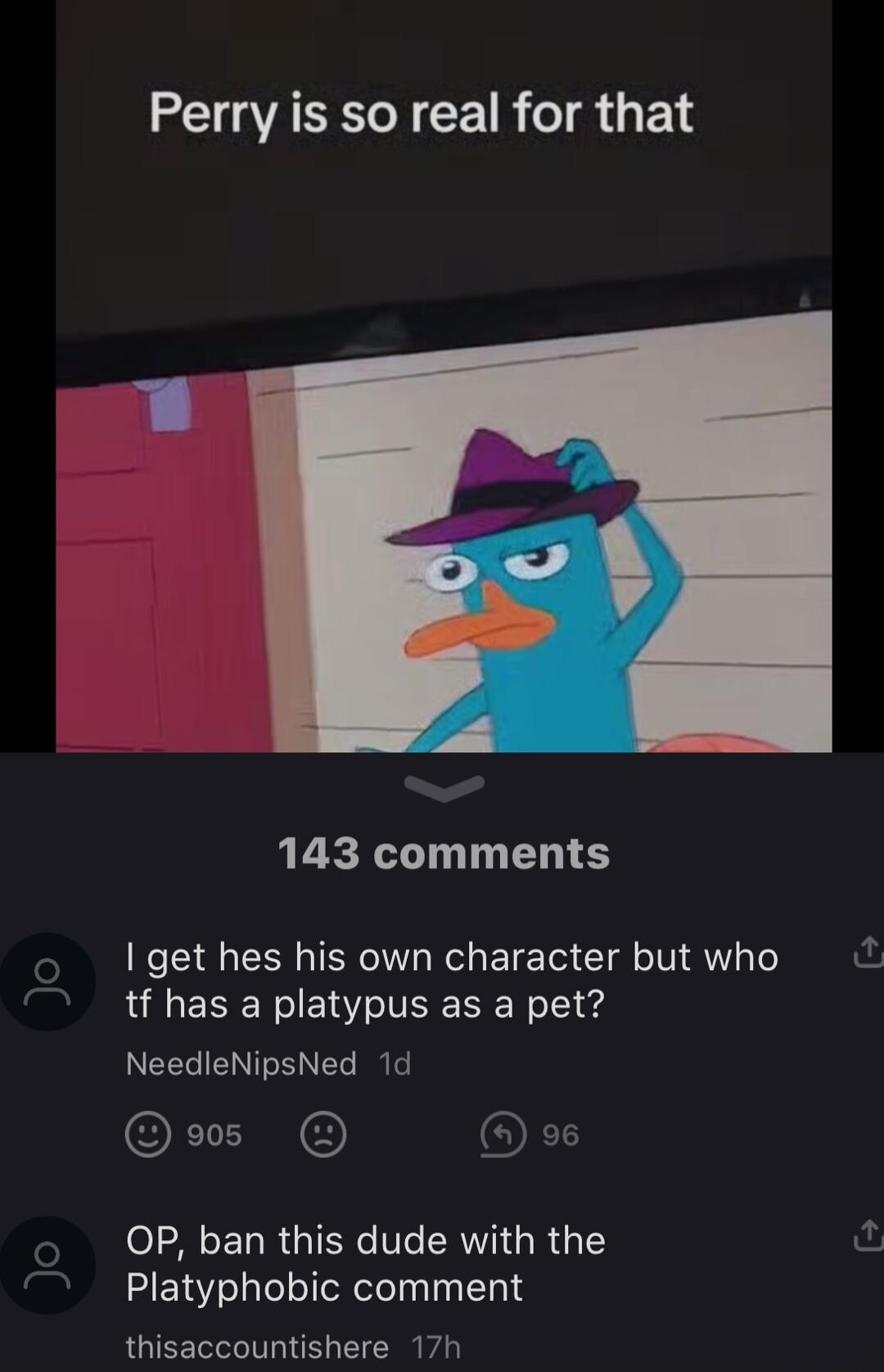 Perry is so real for that 143 comments get hes his own character but who tf has a platypus as a pet NeedleNipsNed 1d ORI OFS OP ban this dude with the Platyphobic comment thisaccountishere 17h