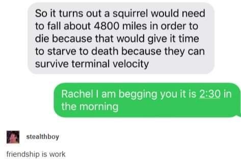 So it turns out a squirrel would need to fall about 4800 miles in order to die because that would give it time to starve to death because they can survive terminal velocity friendship is work