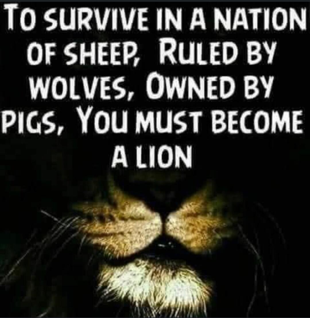 To survive in a nation of sheep, ruled by wolves, owned by pigs, you must become a lion