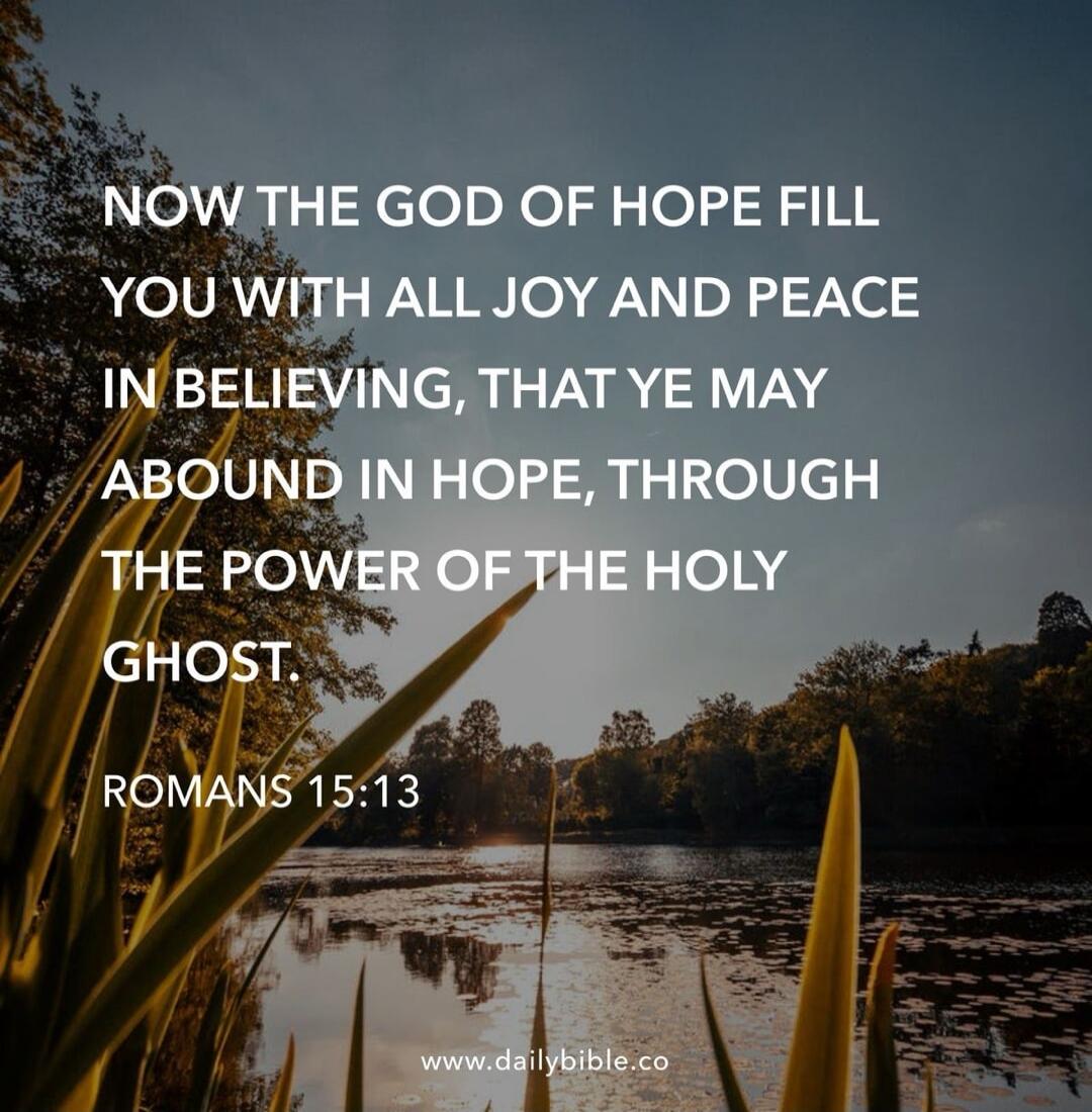 NOW THE GOD OF HOPE FILL YOU WITH ALL JOY AND PEACE IN BELIEVING, THAT YE MAY ABOUND IN HOPE, THROUGH THE POWER OF THE HOLY GHOST. ROMANS 15:13 www.dailybible.co