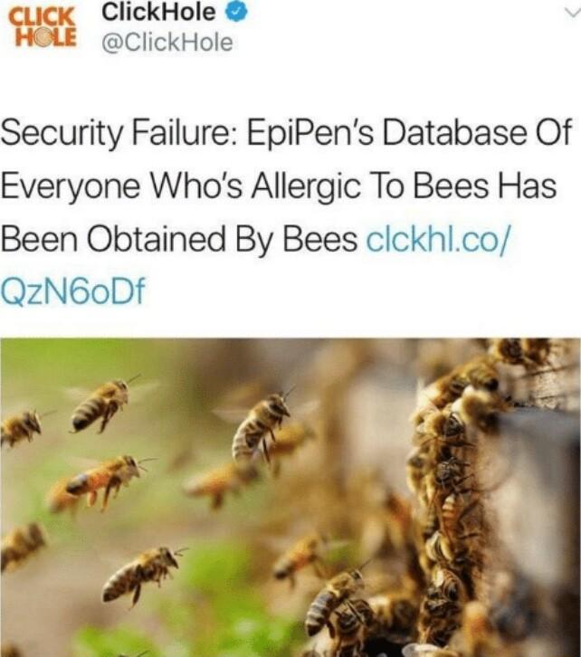 Security Failure EpiPens Database Of Everyone Whos Allergic To Bees Has Been Obtained By Bees clckhlco f