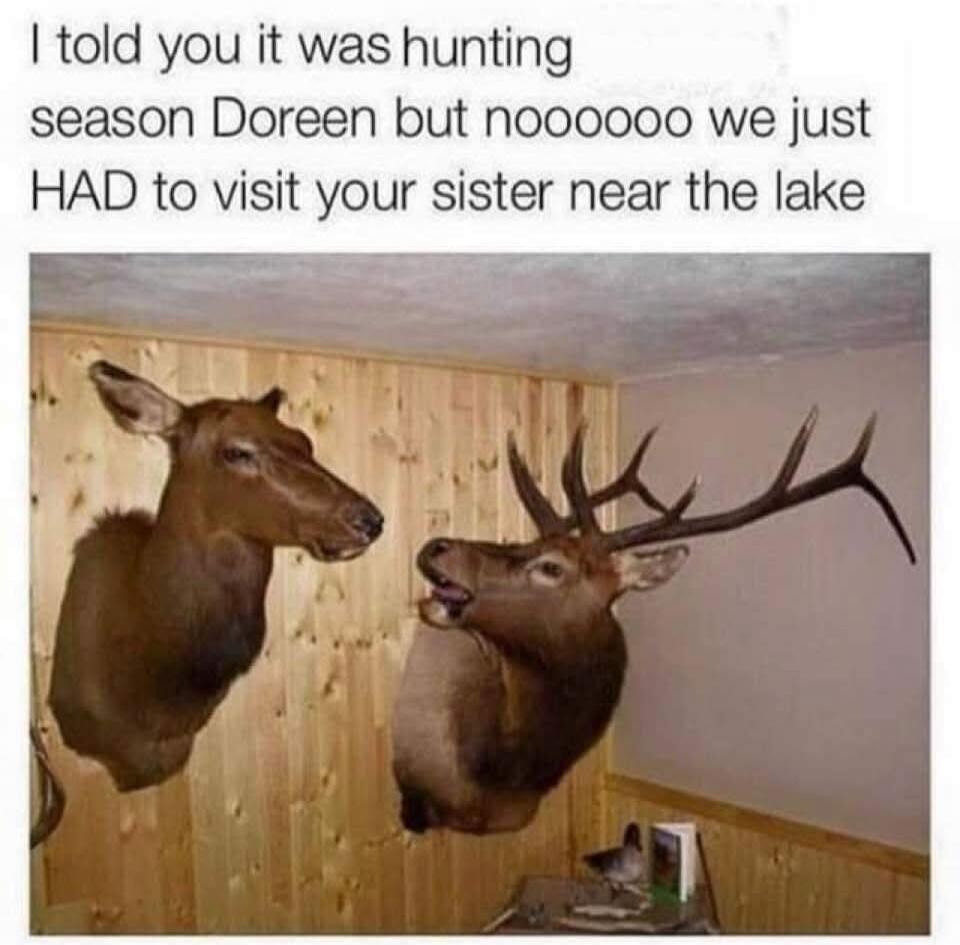 I told you it was hunting season Doreen but nooooo we just HAD to visit your sister near the lake