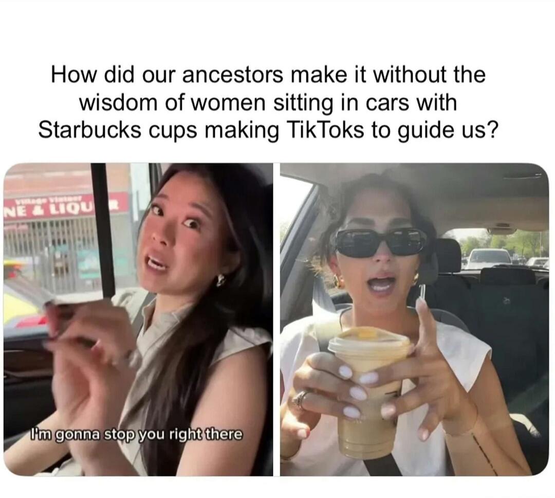 How did our ancestors make it without the wisdom of women sitting in cars with Starbucks cups making TikToks to guide us? I'm gonna stop you right there