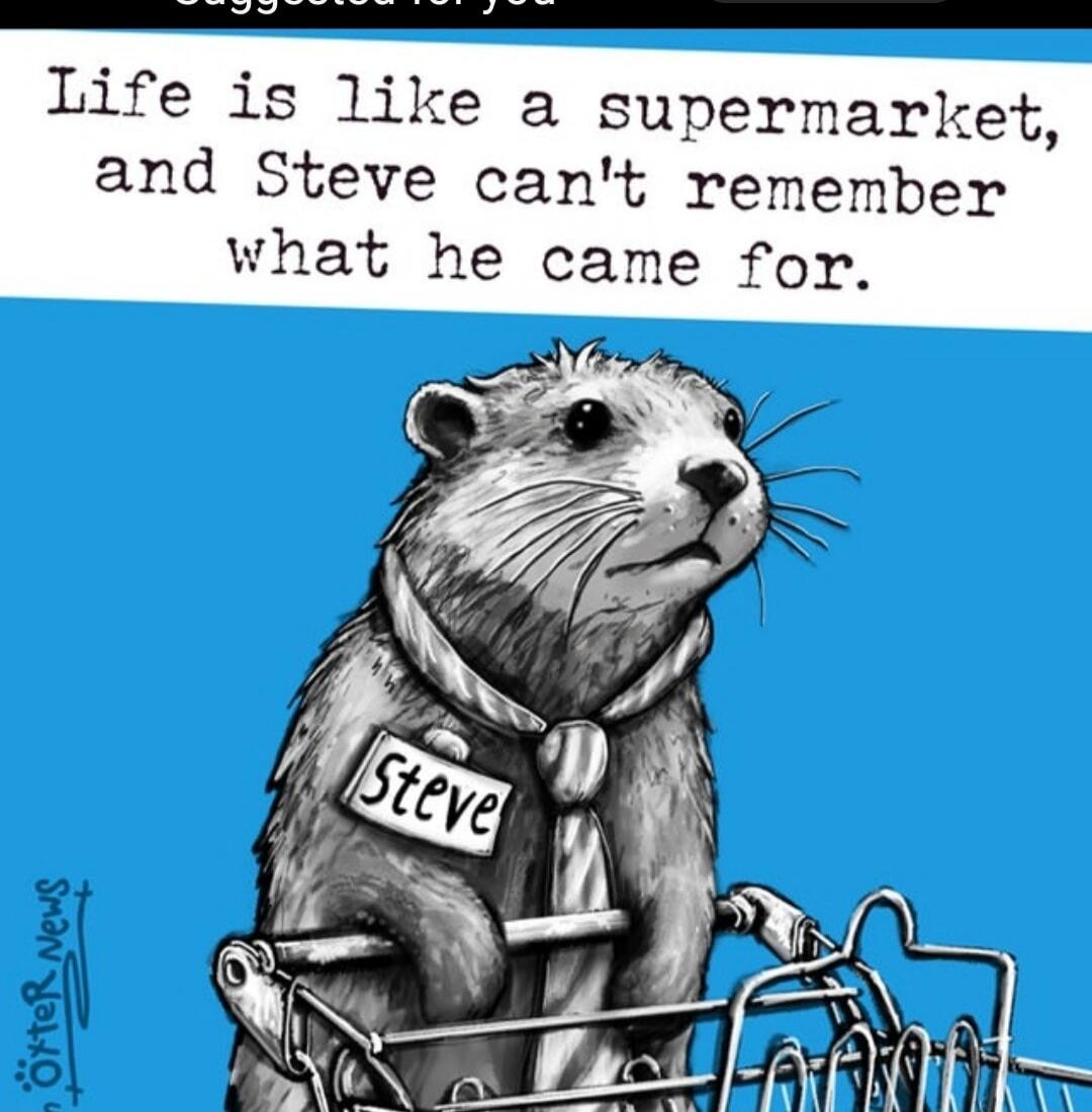 Life is like a supermarket, and Steve can't remember what he came for.