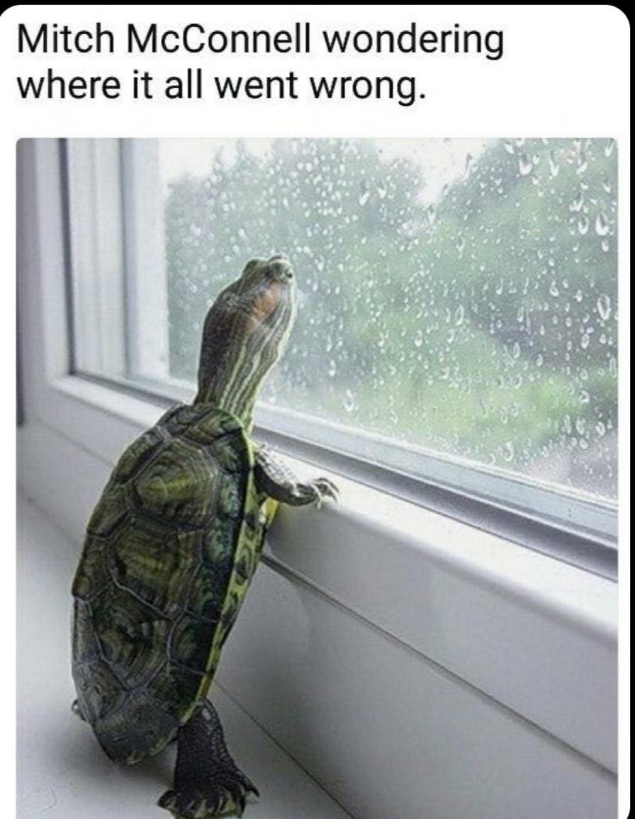 il Mitch McConnell wondering where it all went wrong