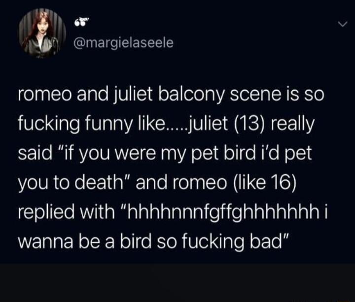 P margielaseele romeo and juliet balcony scene is so fucking funny likejuliet 13 really said if you were my pet bird id pet you to death and romeo like 16 el RWia R lalalalaTalal e itelalalalTaTaT o W EN SR Y olle ReR Ve ale N o 1o