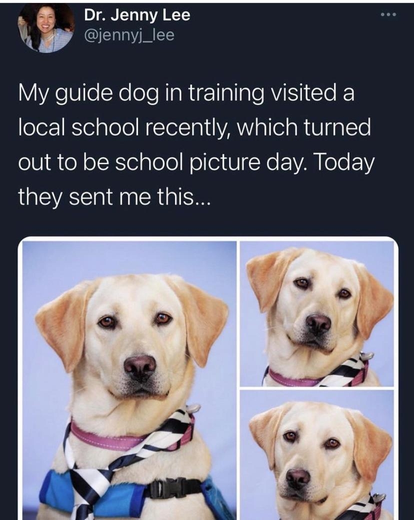 D RN I 010 VA T k ala YYAeSlleXelelcRIaRiF Iallale RV Clo olorzRSTel alelel NIelTal VA aleiaR VIgplTe olV e oJXTolglolo Nolei VI Ne EEVANelo 1V they sent me this