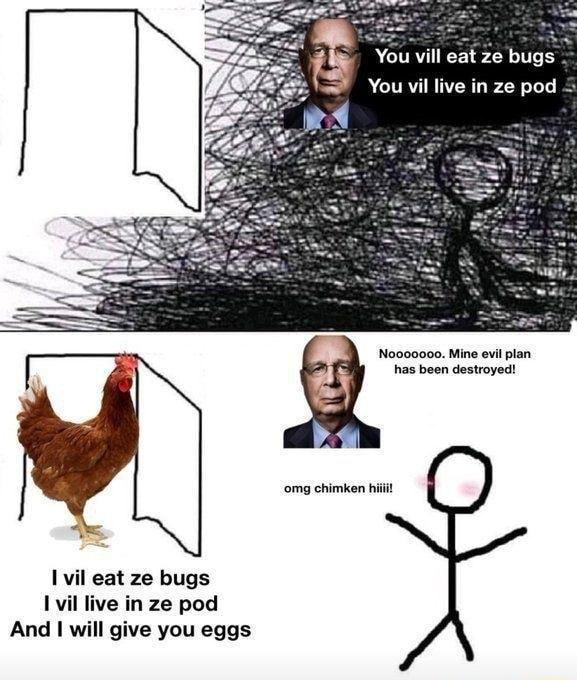 You vill eat ze bugs You vil live in ze pod omg chimken il eat ze bugs 1vil live in ze pod And 1 will give you eggs
