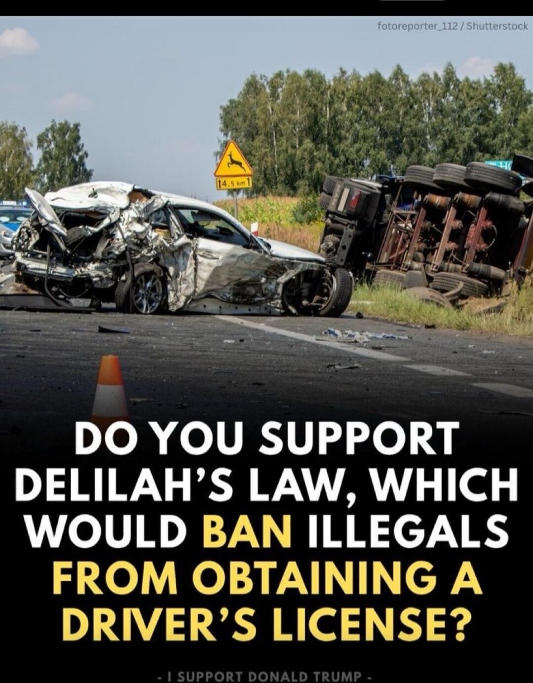 fotoreporter_112 / Shutterstock 14.5 KM DO YOU SUPPORT DELILAH'S LAW, WHICH WOULD BAN ILLEGALS FROM OBTAINING A DRIVER'S LICENSE? - I SUPPORT DONALD TRUMP -