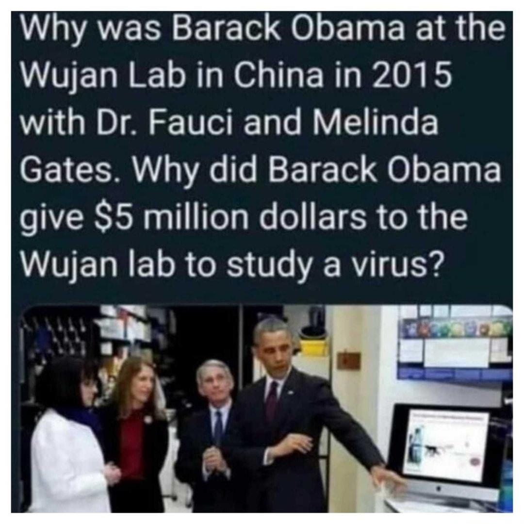 W AEEEIE o ET E IR Wujan Lab in China in 2015 with Dr Fauci and Melinda CEYCEM Ao s BoF16 Tol Q0L T3 give S5 million dollars to the VVTEL R EL R RS Ve A R VY