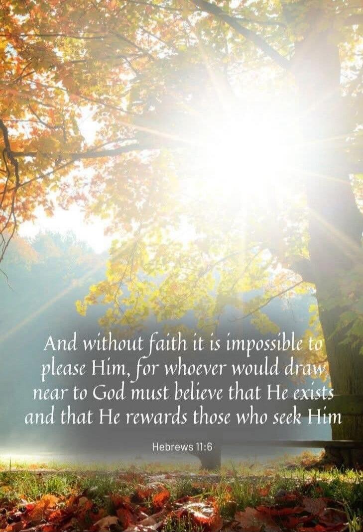 And without faith it is impossible to please Him, for whoever would draw near to God must believe that He exists and that He rewards those who seek Him
Hebrews 11:6