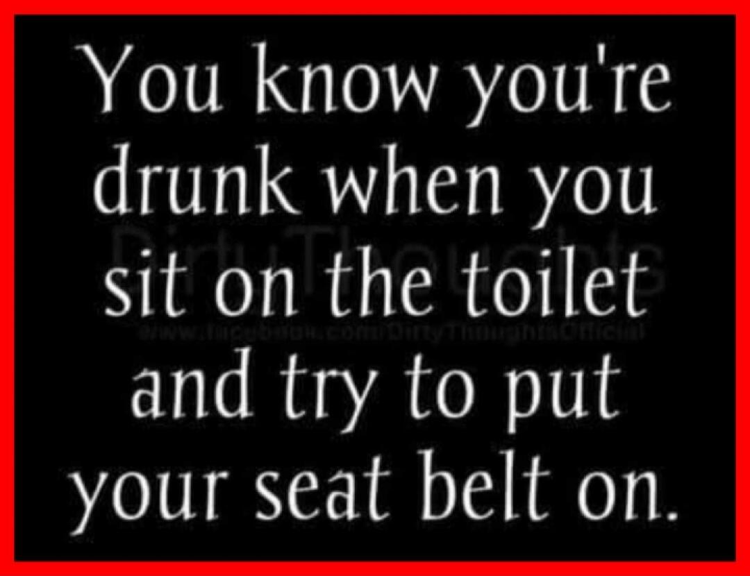You know you're drunk when you sit on the toilet and try to put your seat belt on.