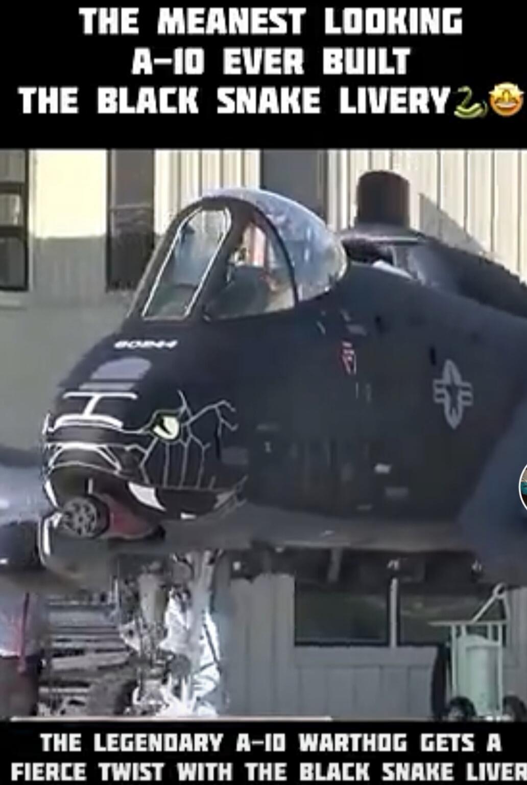 The meanest looking A-10 ever built, the Black Snake Livery. The legendary A-10 Warthog gets a fierce twist with the Black Snake Livery.
