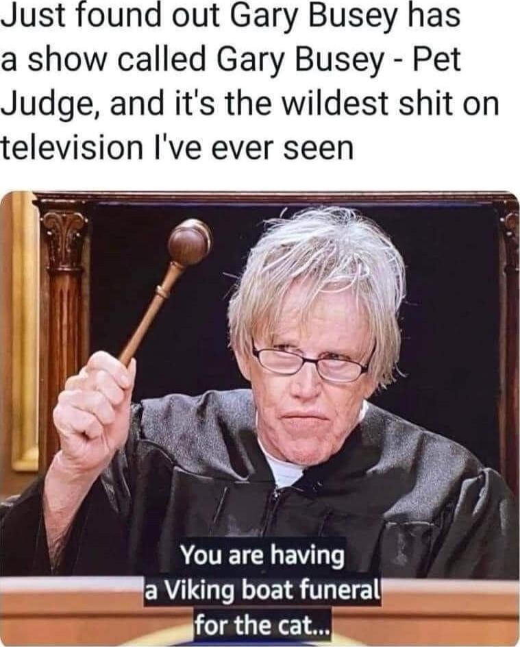 Just found out Gary Busey has a show called Gary Busey Pet Judge and its the wildest shit on elevision Ive ever seen ACUELELEVL T PR iking boat funeral r o gfor the cat g