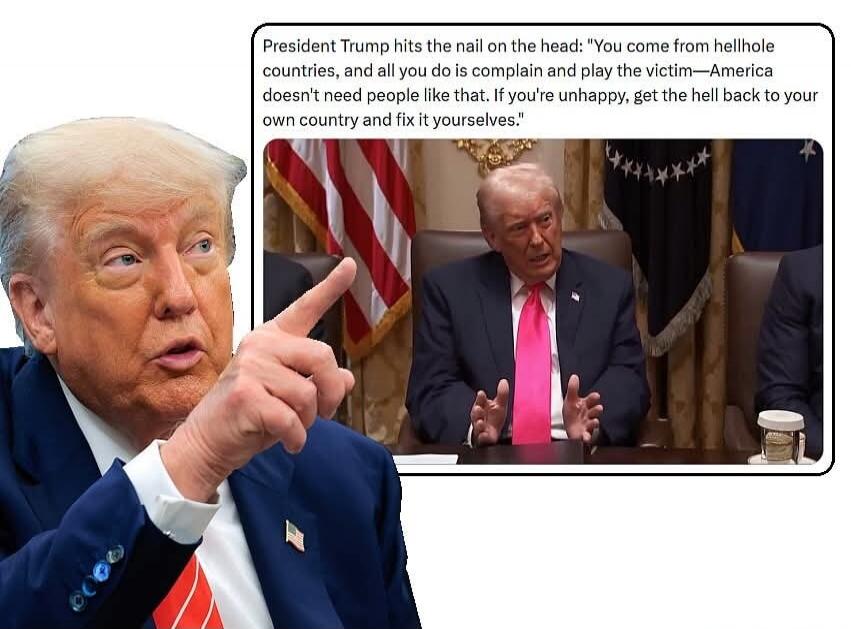President Trump hits the nail on the head: 
