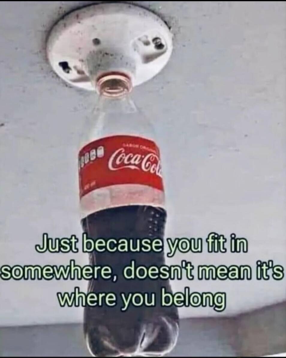 Just because you fit in somewhere, doesn't mean it's where you belong