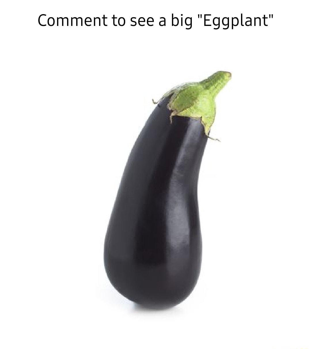 Comment to see a big Eggplant