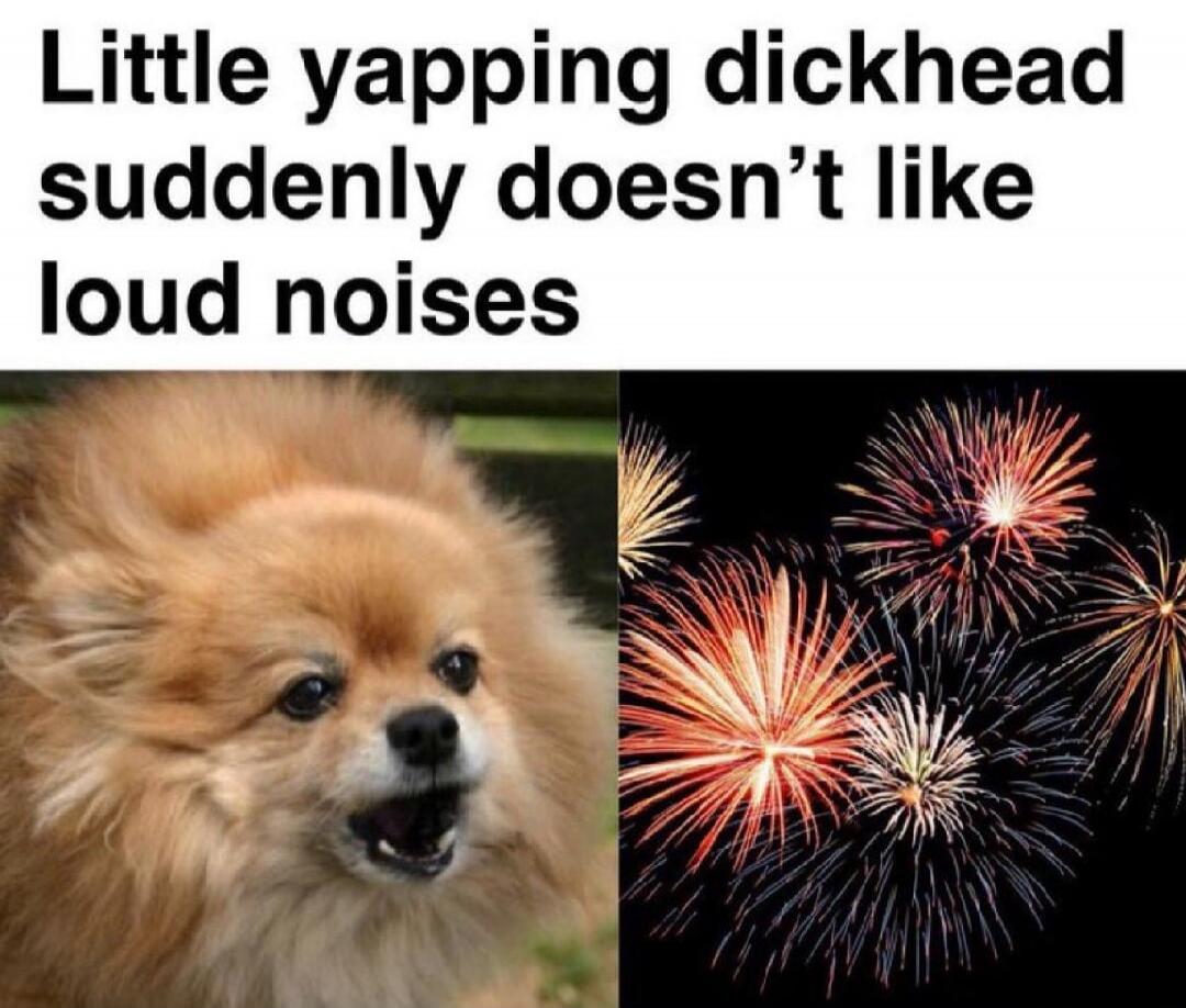 Little yapping dickhead suddenly doesn't like loud noises