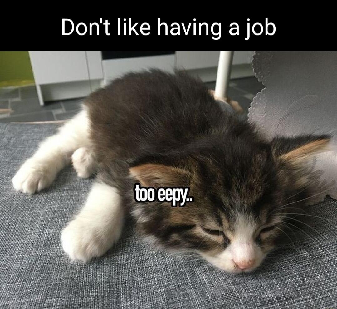 Dont like having a job