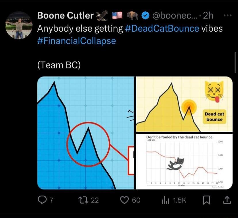 Boone Cutler h Anybody else getting DeadCatt vibes i ICollap Team BC