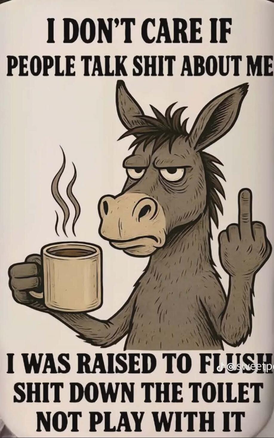 I DON'T CARE IF PEOPLE TALK SHIT ABOUT ME I WAS RAISED TO FLUSH SHIT DOWN THE TOILET NOT PLAY WITH IT