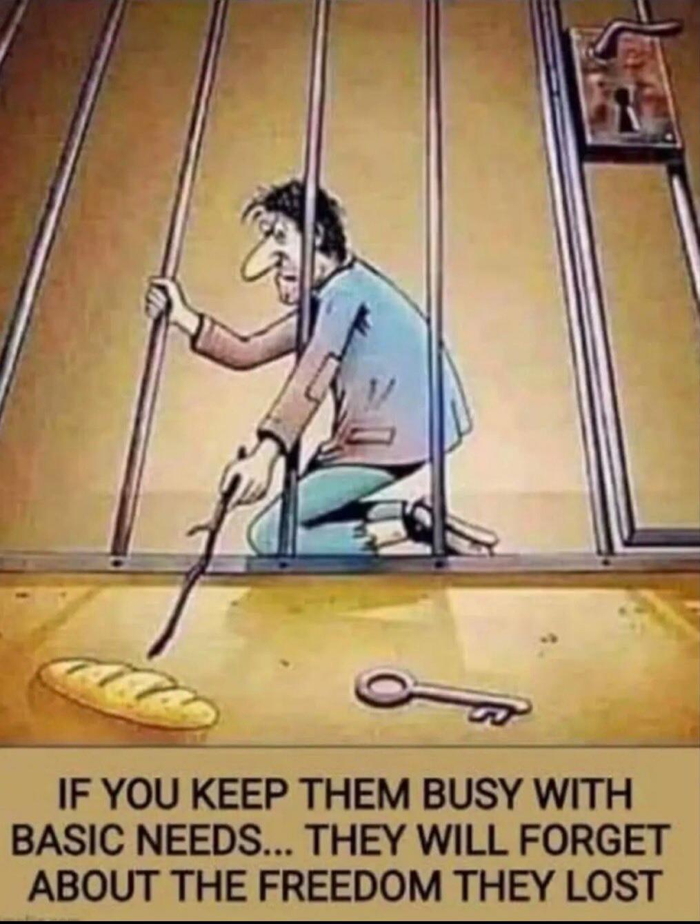 IF YOU KEEP THEM BUSY WITH BASIC NEEDS... THEY WILL FORGET ABOUT THE FREEDOM THEY LOST