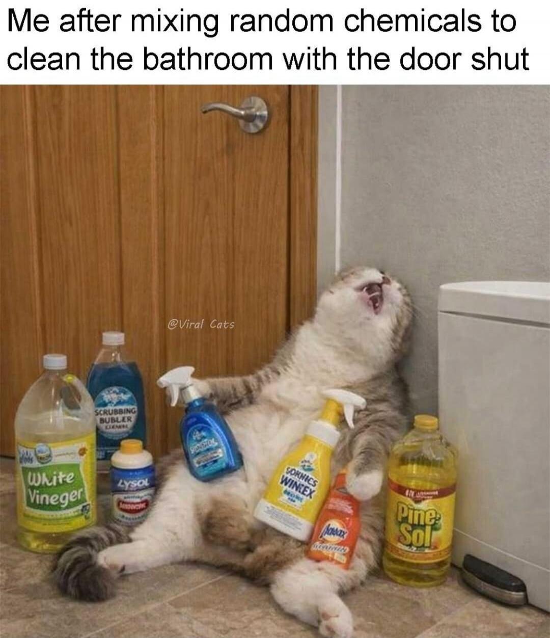 Me after mixing random chemicals to clean the bathroom with the door shut