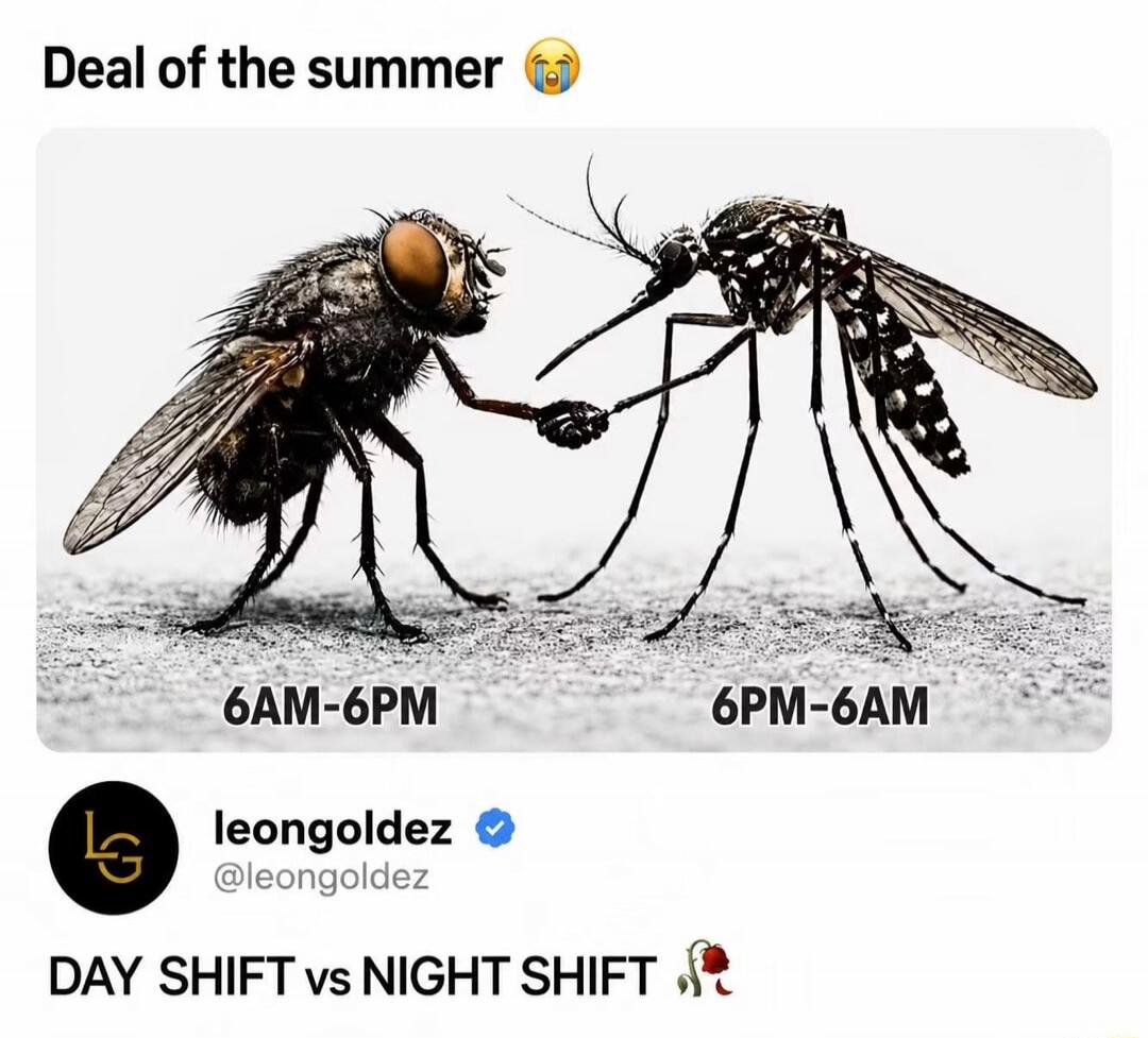 Deal of the summer 😭 6AM-6PM 6PM-6AM DAY SHIFT vs NIGHT SHIFT 🥀