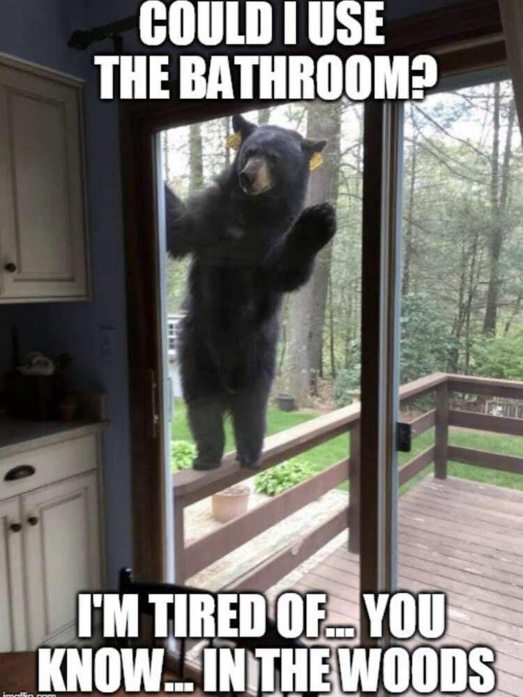 COULD I USE THE BATHROOM? I'M TIRED OF... YOU KNOW... IN THE WOODS
