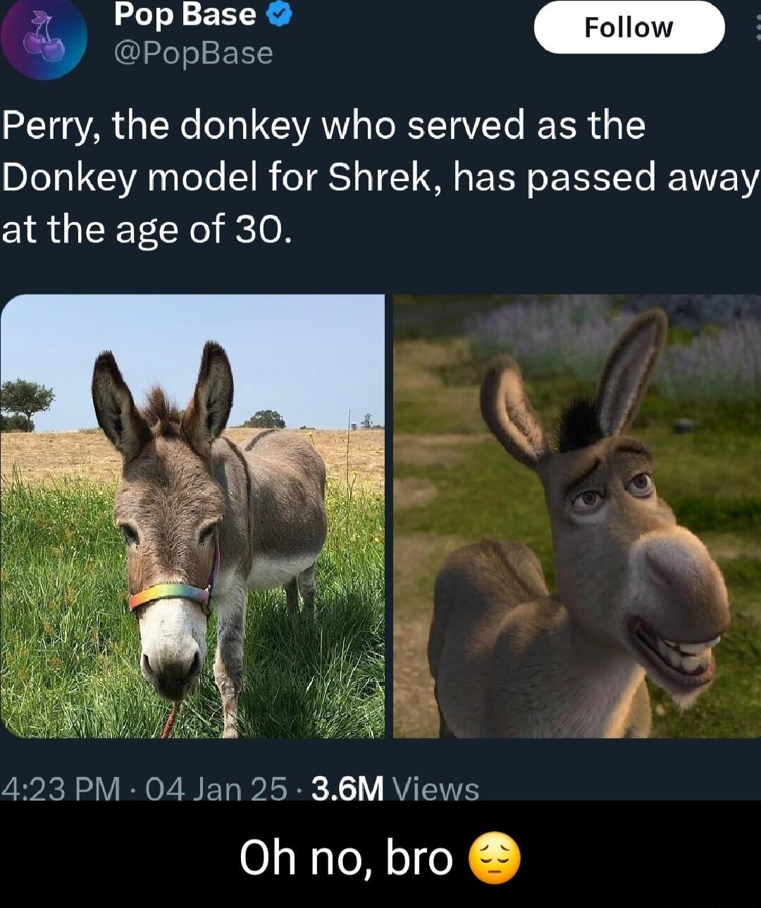 g PopBase Perry the donkey who served as the Donkey model for Shrek has passed away at the age of 30 423 PM 04 Jan 25 36M Views Ohno bro