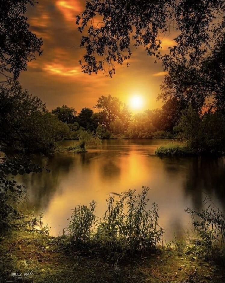 Sunset over a calm lake framed by trees, with golden light reflecting on the water.