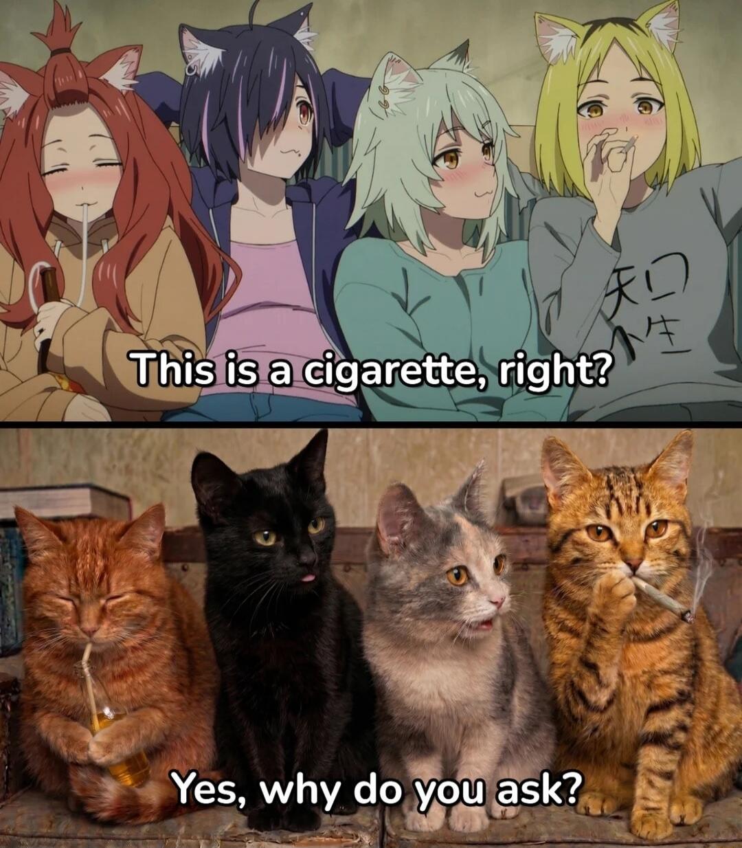 This is a cigarette, right? Yes, why do you ask?